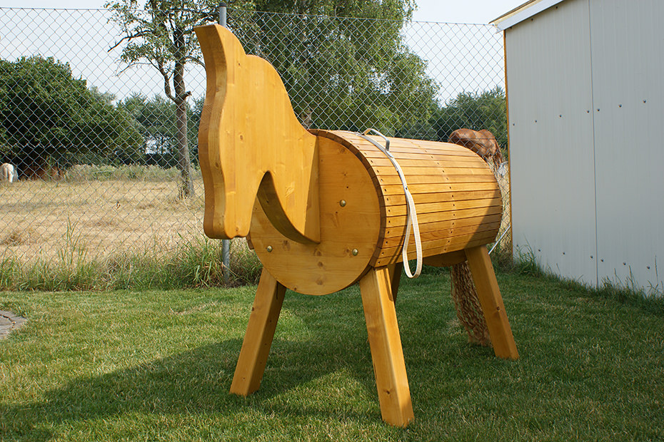 Spielpferd Foto 2