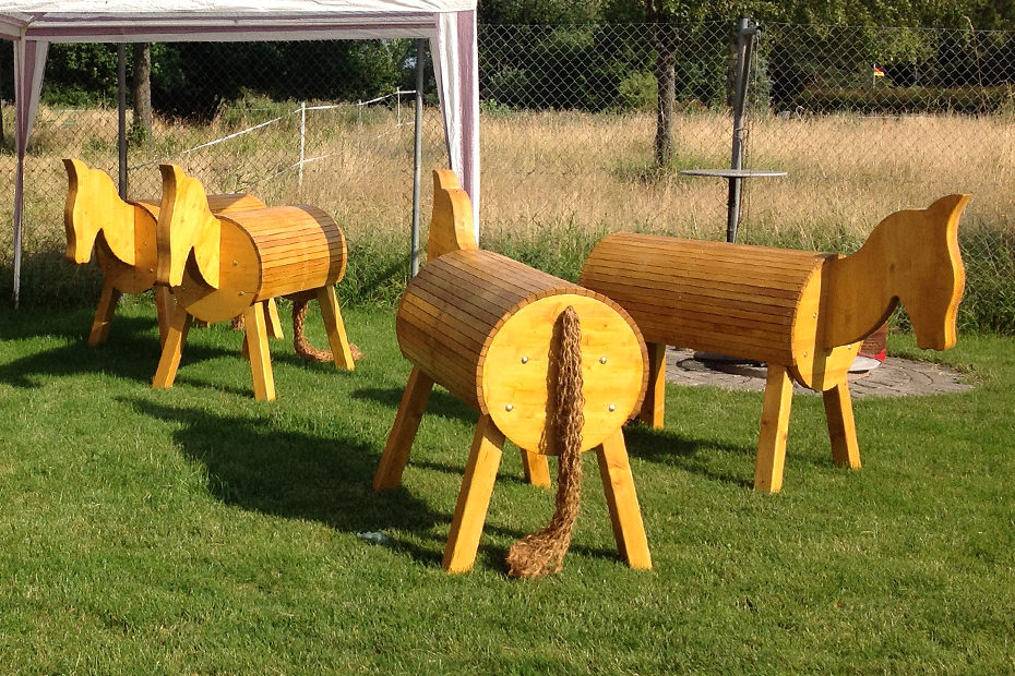 Spielpferd Foto 1
